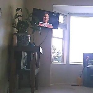 Meet your Posher, Bailey